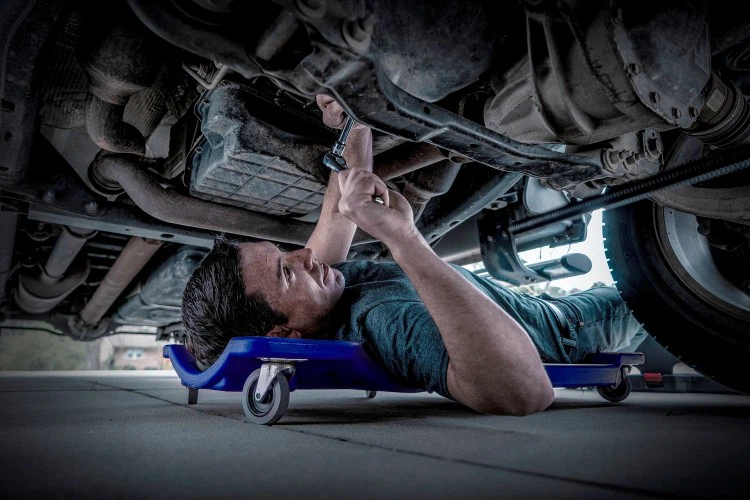 DSC02400 full-2NLOGO DSC02400 full-2NLOGO